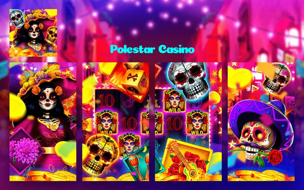 available types of Polestar Casino bet including pre-match live express and system bets